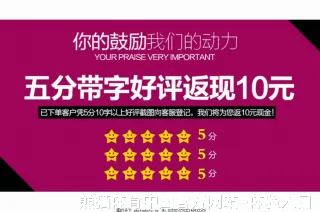庄修敏